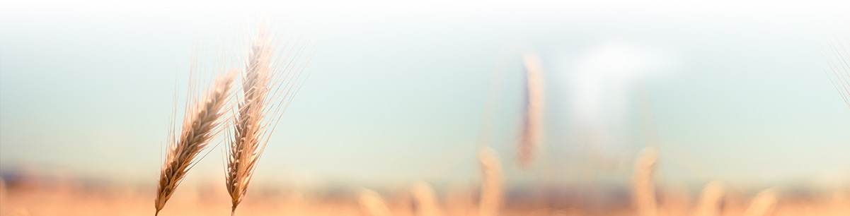 香港马王749494八蓝月亮