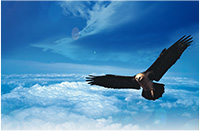 香港马王749494八蓝月亮