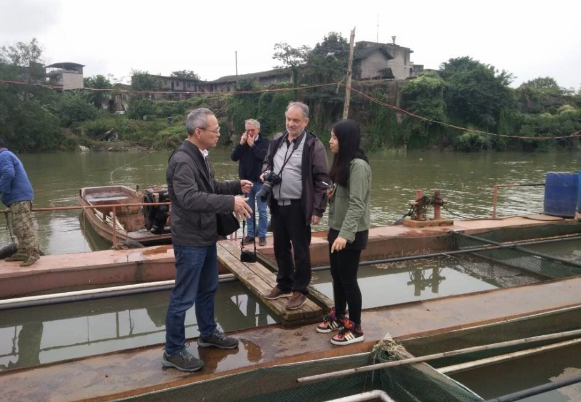 香港马王749494八蓝月亮