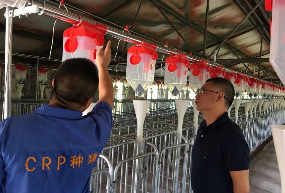 香港马王749494八蓝月亮