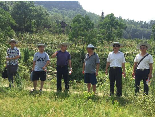 香港马王749494八蓝月亮