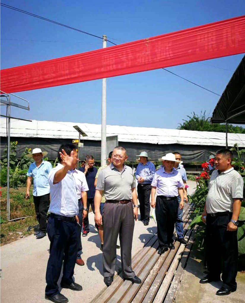 香港马王749494八蓝月亮