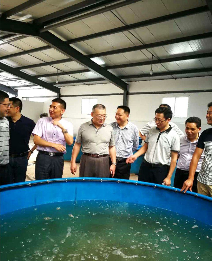 香港马王749494八蓝月亮