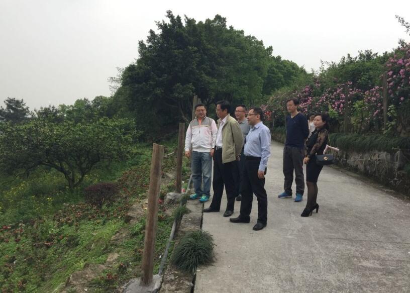 香港马王749494八蓝月亮