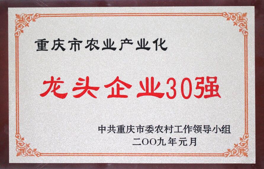 香港马王749494八蓝月亮