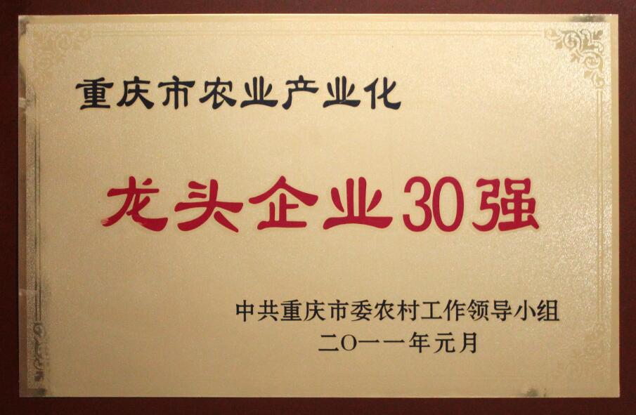 香港马王749494八蓝月亮