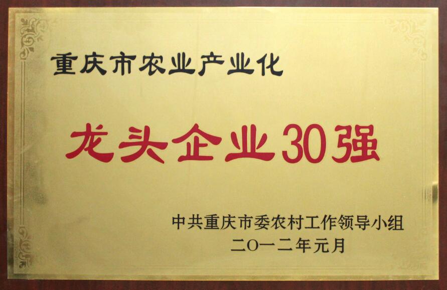 香港马王749494八蓝月亮