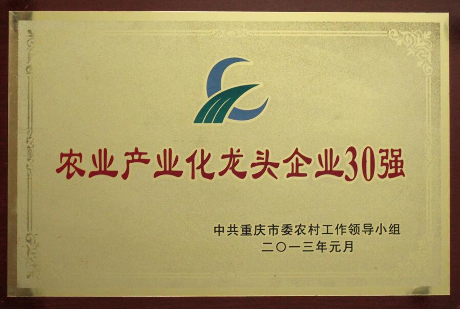 香港马王749494八蓝月亮