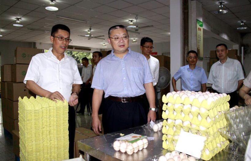 香港马王749494八蓝月亮