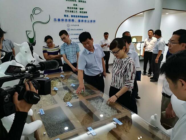 香港马王749494八蓝月亮