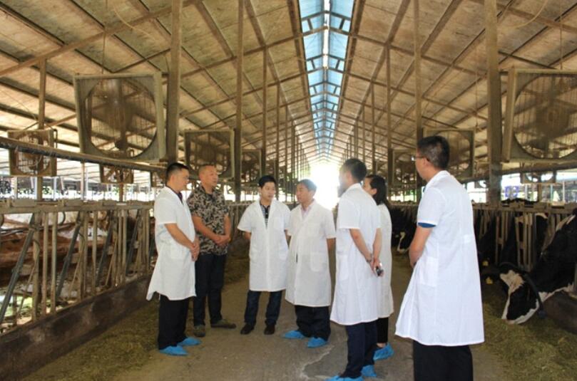 香港马王749494八蓝月亮