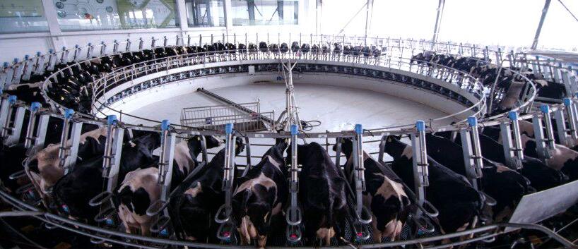 香港马王749494八蓝月亮