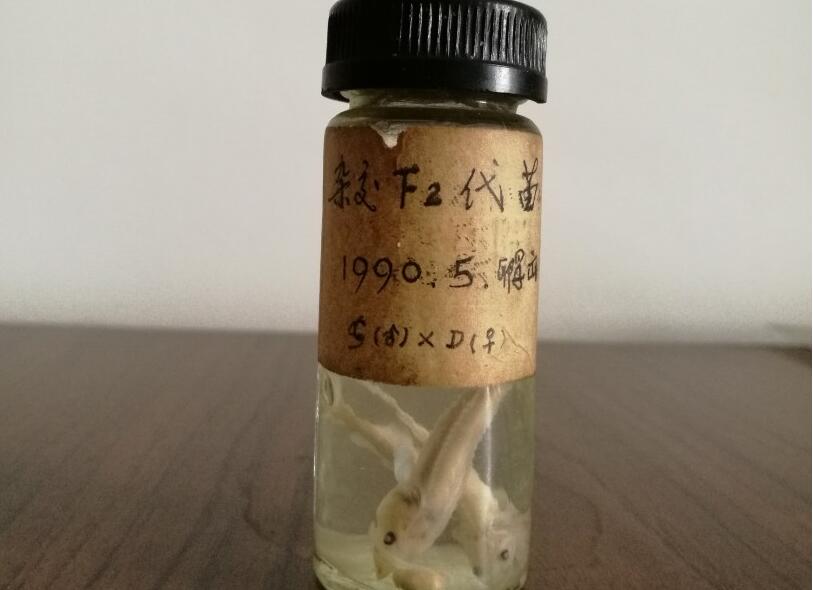 香港马王749494八蓝月亮