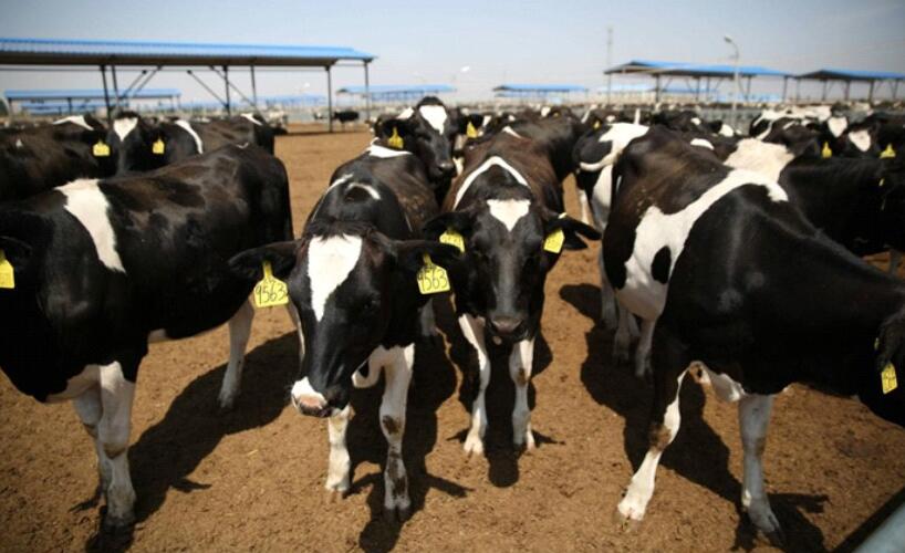 香港马王749494八蓝月亮