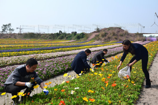 香港马王749494八蓝月亮