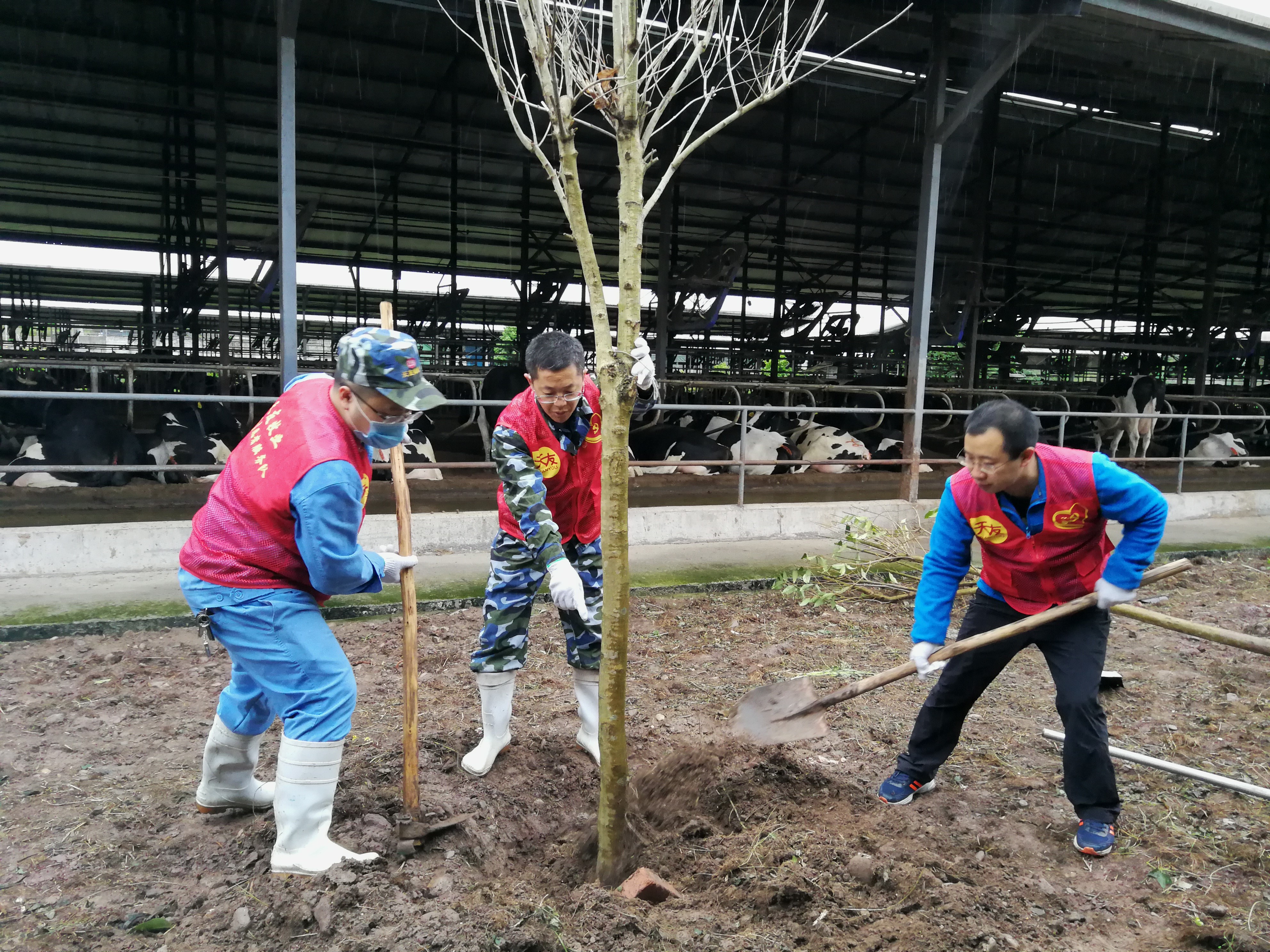 香港马王749494八蓝月亮
