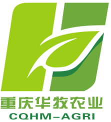 香港马王749494八蓝月亮