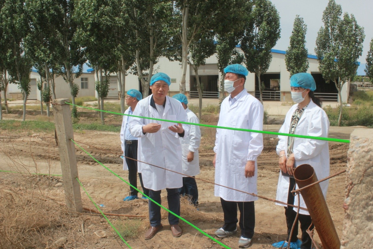 香港马王749494八蓝月亮