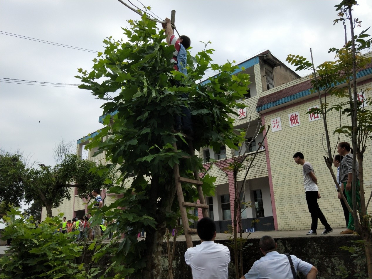 香港马王749494八蓝月亮