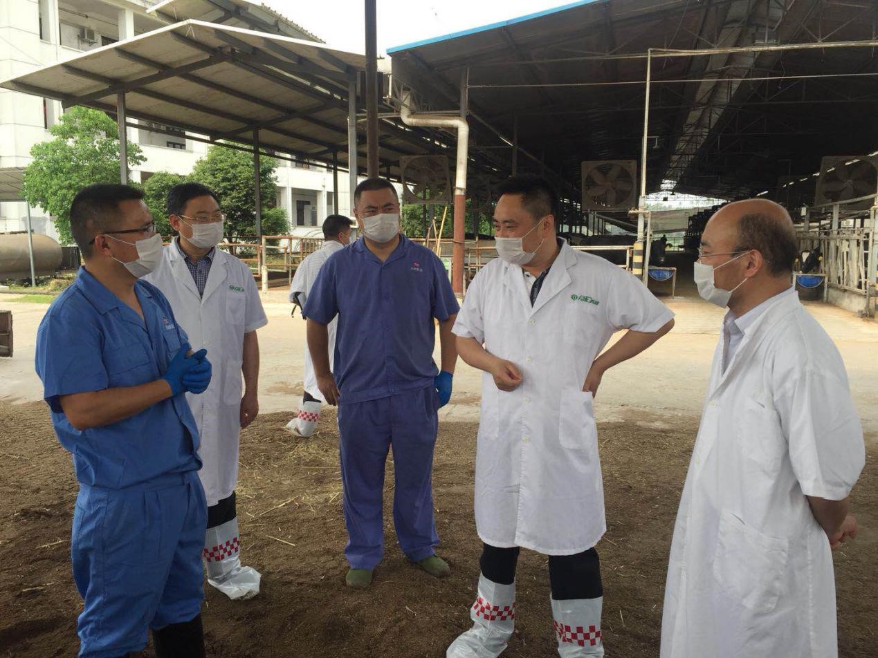 香港马王749494八蓝月亮