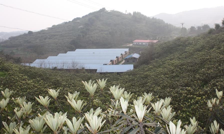 香港马王749494八蓝月亮