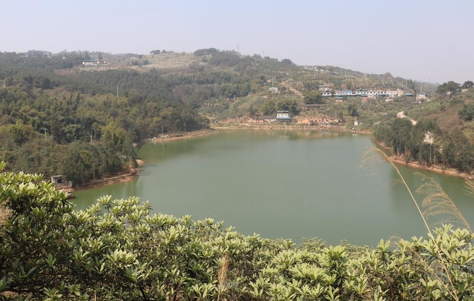 香港马王749494八蓝月亮