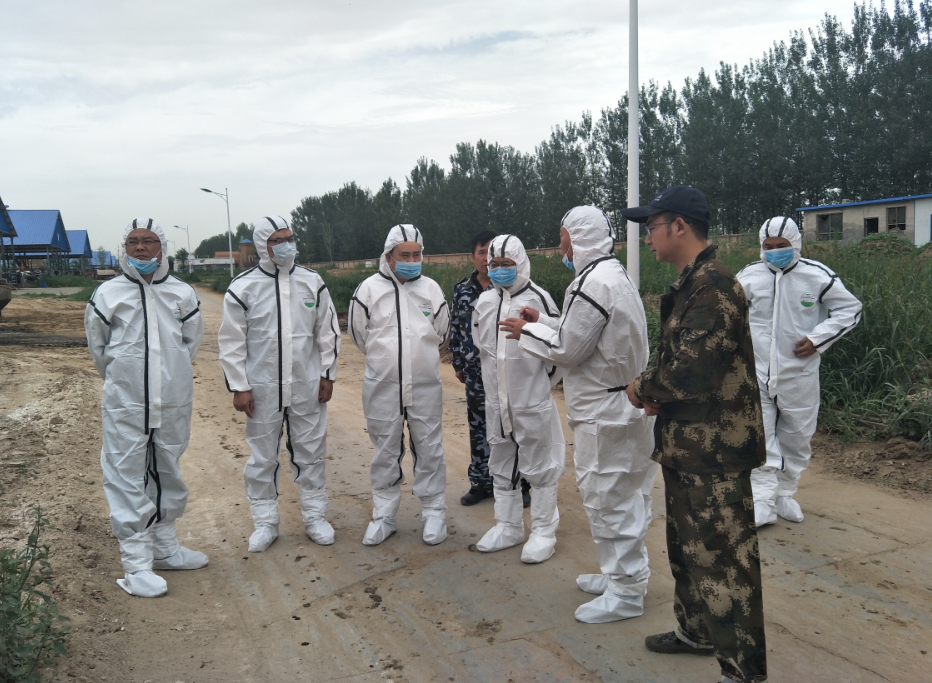 香港马王749494八蓝月亮