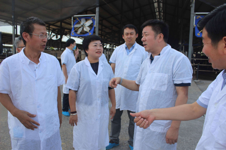 香港马王749494八蓝月亮