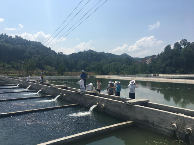 香港马王749494八蓝月亮