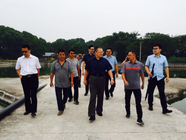 香港马王749494八蓝月亮