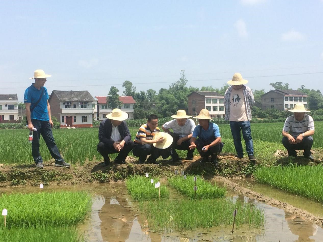 香港马王749494八蓝月亮