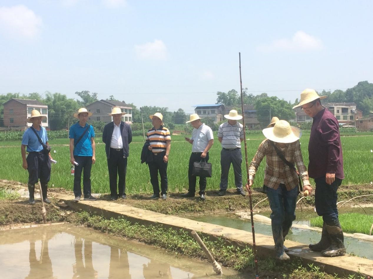 香港马王749494八蓝月亮