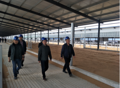 香港马王749494八蓝月亮