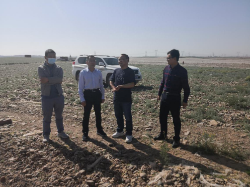 香港马王749494八蓝月亮