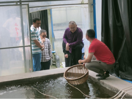 香港马王749494八蓝月亮