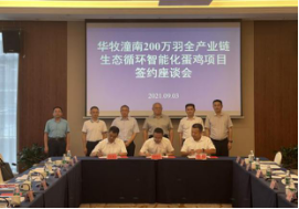 香港马王749494八蓝月亮